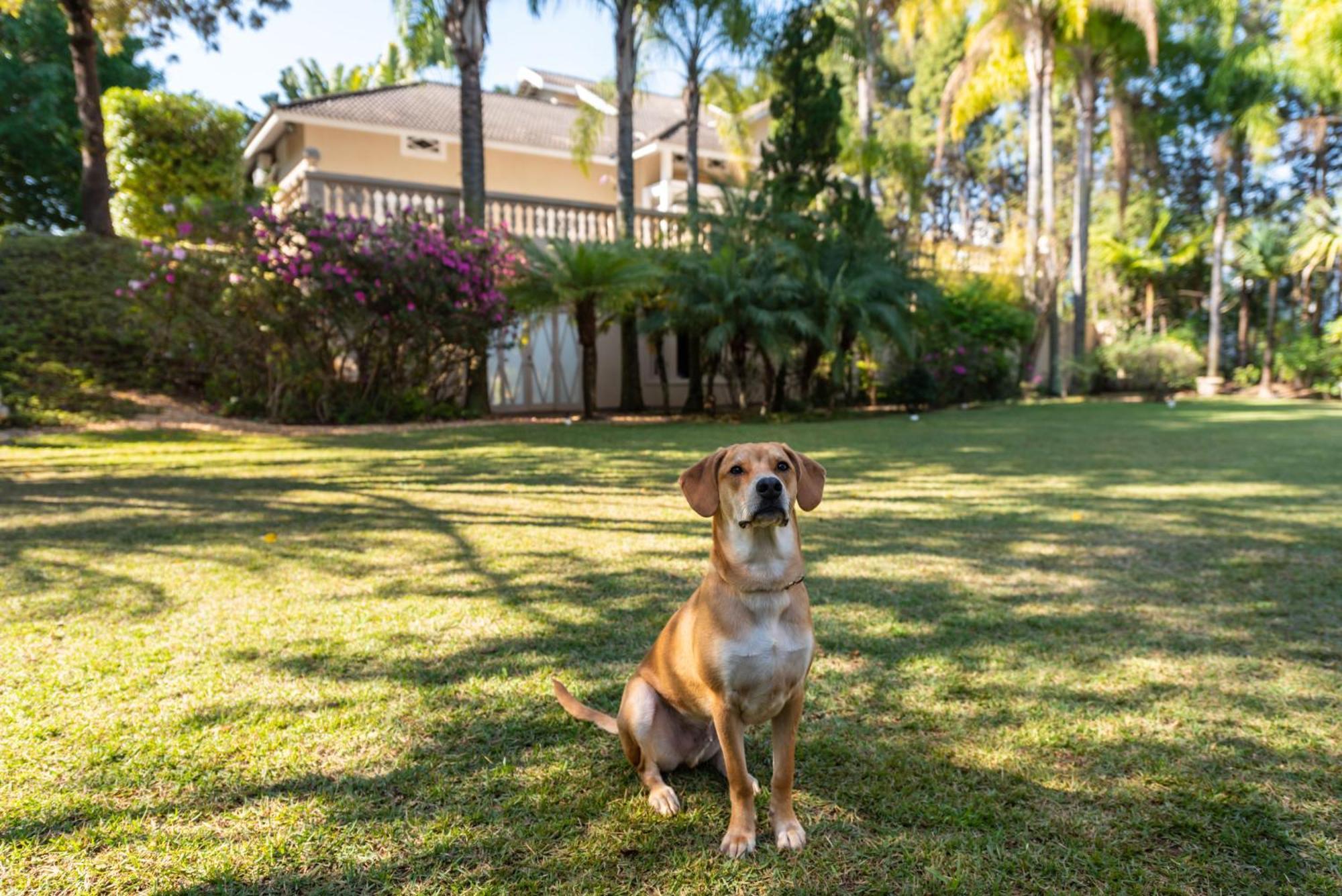 Fazenda Vila Real - Grande E Charmosa Casa De Campo Itu Kültér fotó