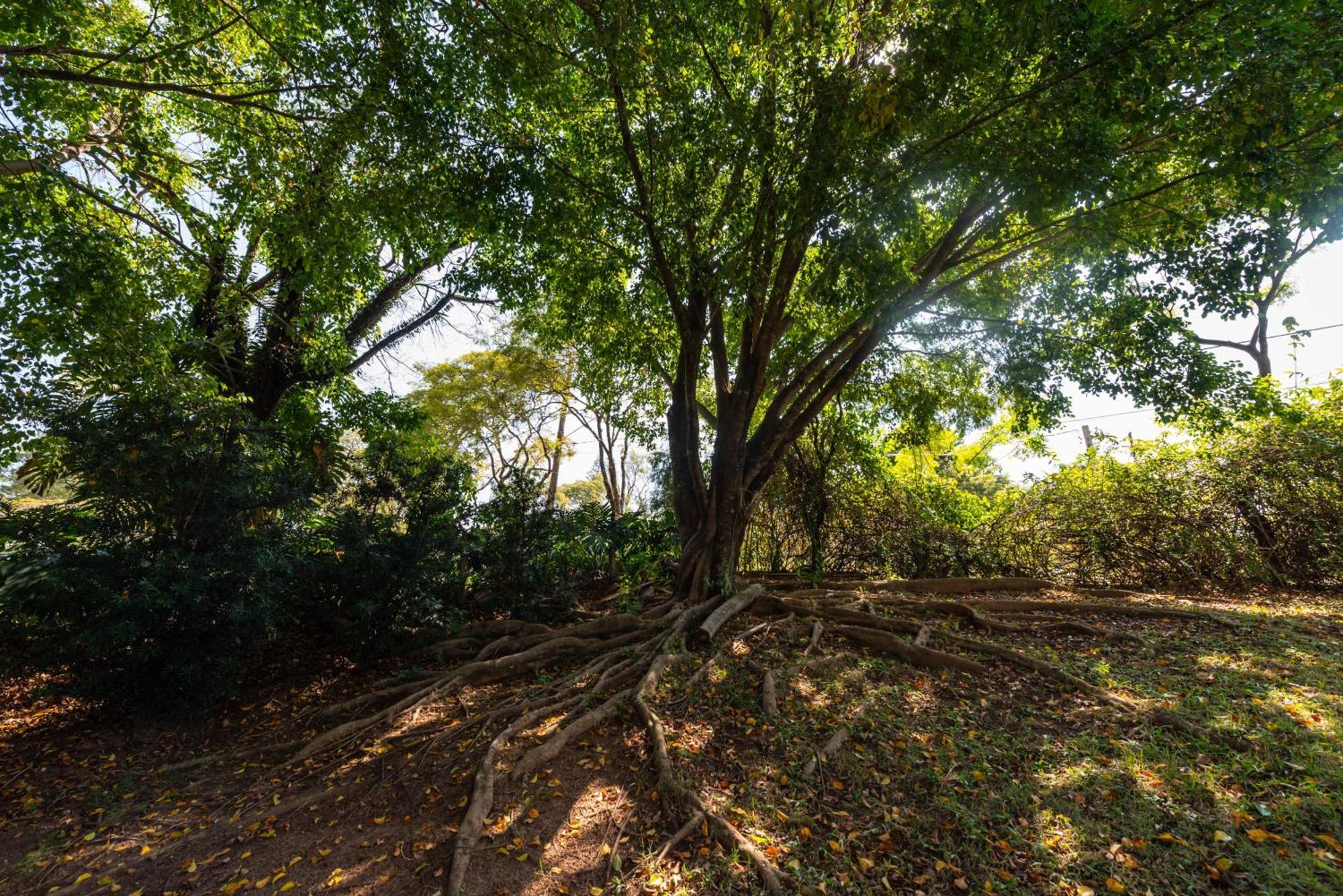 Fazenda Vila Real - Grande E Charmosa Casa De Campo Itu Kültér fotó